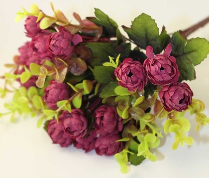 15li Top Gül Demeti (Bordo) - 2