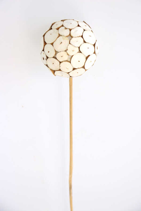 Shola Log Ball 40 cm - 1