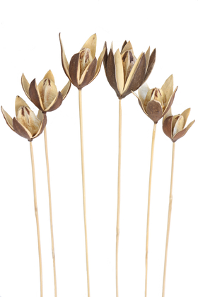 6lı Tropic Lily on Stem 50 cm - Yapay Çiçek Deposu