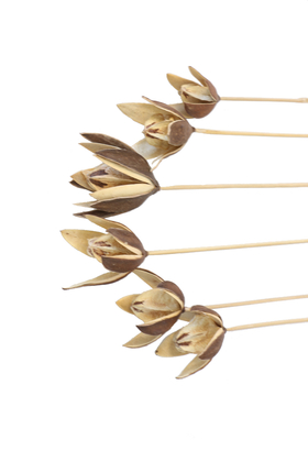 6lı Tropic Lily on Stem 50 cm - 2