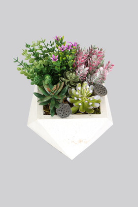 Beton Saksida Yapay Succulent Bahçesi - 2
