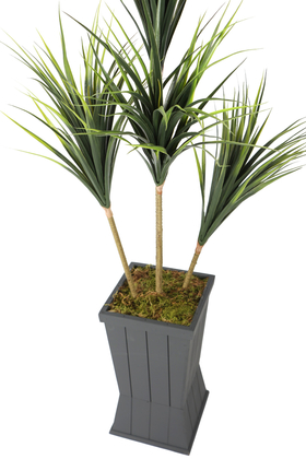 Ahşap Saksıda 4lü Yapay Yucca Ağacı 160 cm - 3