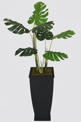Ahşap Saksıda 7 Yapraklı Yapay Deve Tabanı Ağacı 160 cm Monstera Deliciosa - 1