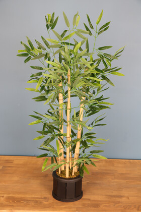 Ahşap Saksıda Bambu Ağacı 105 cm - 1