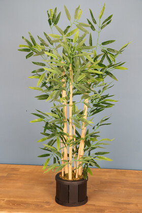 Ahşap Saksıda Bambu Ağacı 105 cm - 2
