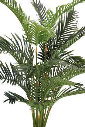 Yapay Areka Palmiyesi Oval Saksıda Jumbo 180 cm - 4