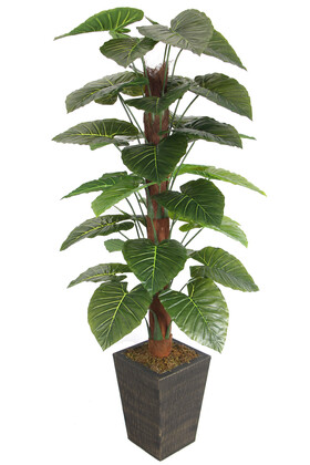 36 Yapraklı Yapay Alocasia Fil Kulağı Ağacı 190 cm (Ahşap Siyah Gold-Saksıda) - 1