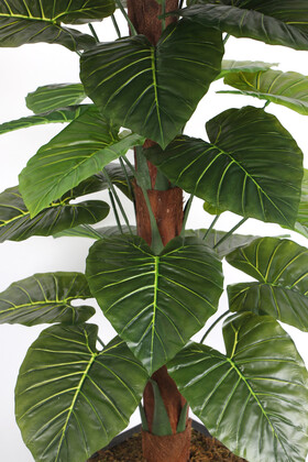 36 Yapraklı Yapay Alocasia Fil Kulağı Ağacı 190 cm (Ahşap Siyah Gold-Saksıda) - 2