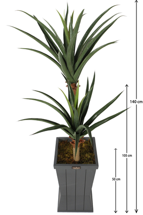 Ahşap Saksıda Yapay Yucca Ağacı Artificial Foilage 140 cm - 2