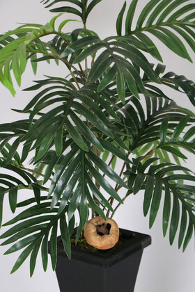 Ahşap Mdf Vazoda Yapay Lüx Areka Bitkisi 100 cm - 3