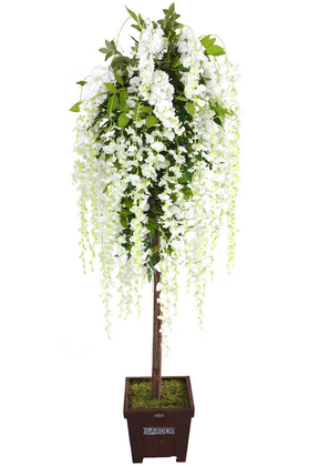 Yapay Akasya Ağacı Beyaz Çiçekli 170cm - 1