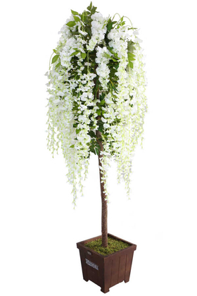 Yapay Akasya Ağacı Beyaz Çiçekli 170cm - 2