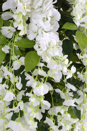 Yapay Akasya Ağacı Beyaz Çiçekli 170cm - 3