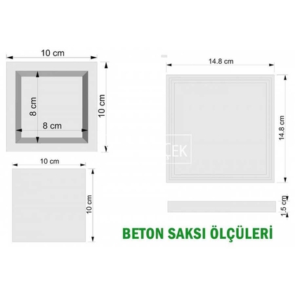 Canım Annem Beton Saksıda Succulent - 2