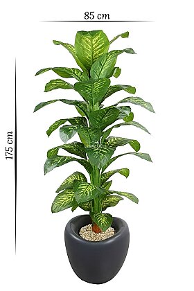 Antrasit Dinazor Yumurtası Saksıda Yapay Ağaç 34 Yapraklı Amoena Difenbahya Ağacı 175 cm Yeşil-Sarı - 5