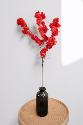 Bahar Dalı Dekoratif Yapay Çiçek 95 cm Kırmızı - 2