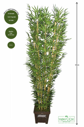 Bambu Ağacı 10 Gövde 180 cm(1.Sınıf Yaprak) - 1