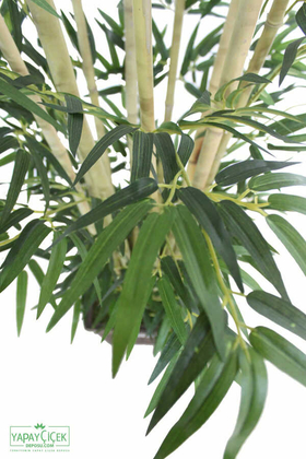 Bambu Ağacı 10 Gövde 180 cm(1.Sınıf Yaprak) - 4