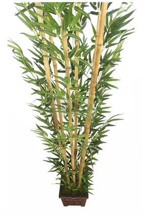 Bambu Ağacı 6 Gövde 180 cm(1.Sınıf Yaprak) Model1 - 2
