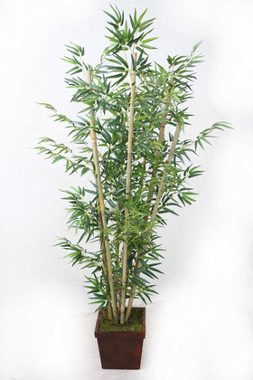 Bambu Ağacı 8 Gövde 180 cm(1.Sınıf Yaprak) - 2