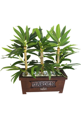 Bambu Premium Yaprak Tanzimi Ahşap Dekoratif Saksılı 45 cm - 2
