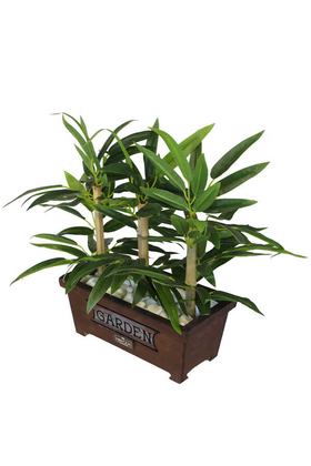 Bambu Premium Yaprak Tanzimi Ahşap Dekoratif Saksılı 45 cm - 3