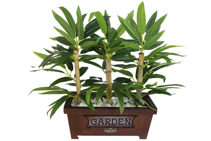Bambu Premium Yaprak Tanzimi Ahşap Dekoratif Saksılı 45 cm - 4