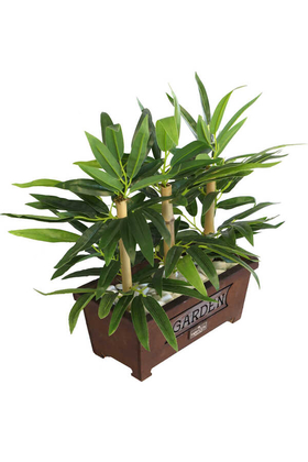 Bambu Premium Yaprak Tanzimi Ahşap Dekoratif Saksılı 45 cm - 5