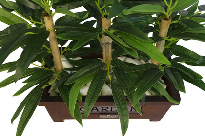 Bambu Premium Yaprak Tanzimi Ahşap Dekoratif Saksılı 45 cm - 6