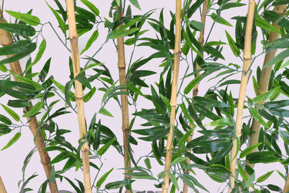 Yapay Bambu Seperatör 10 Adet Bambu Çubuklu (20x100x120 cm) - 5
