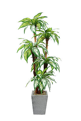 Beton Görünümlü Saksıda Yapay 5 Gövdeli Terra Aglaonema Ağacı 150 cm Yeşil - 3