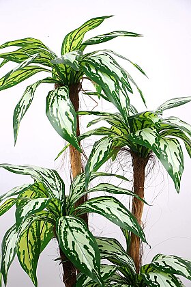 Beton Görünümlü Saksıda Yapay 5 Gövdeli Terra Aglaonema Ağacı 150 cm Yeşil - 4