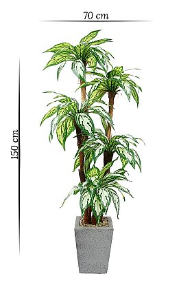 Beton Görünümlü Saksıda Yapay 5 Gövdeli Terra Aglaonema Ağacı 150 cm Yeşil - 5