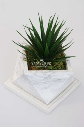 Mermer Görünümlü Beton Saksıda Dev Succulent Sukulent 20cm - 2