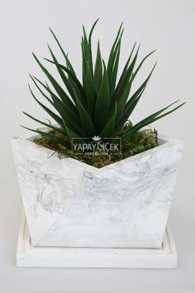 Mermer Görünümlü Beton Saksıda Dev Succulent Sukulent 20cm - 3