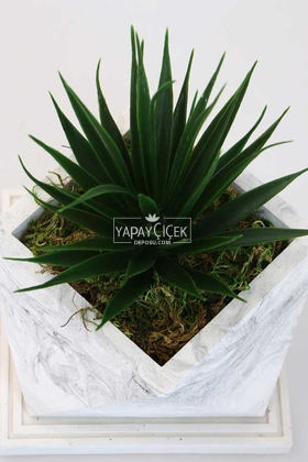 Mermer Görünümlü Beton Saksıda Dev Succulent Sukulent 20cm - 4