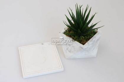 Mermer Görünümlü Beton Saksıda Dev Succulent Sukulent 20cm - 5