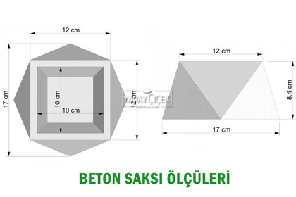 Mermer Görünümlü Beton Saksıda Dev Succulent Sukulent 20cm - 6