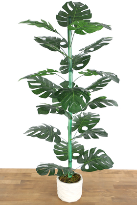 Beton Saksıda 21 Yapraklı Yapay Monstera (Deve Tabanı) Ağacı 110 cm - 1