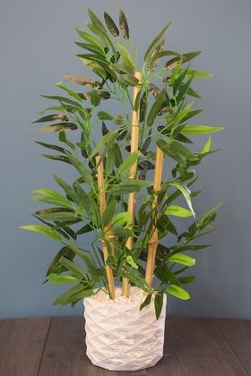 Beton Saksıda Bambu Ağacı Koyu Yeşil 65 cm (Taşlı Model) - 1