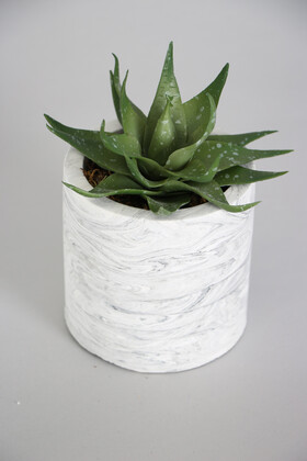 Beton Saksıda Islak Büyük Succulent Haworthia Yeşil - Yapay Çiçek Deposu