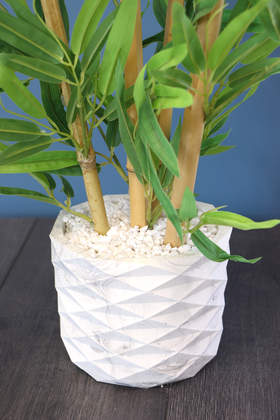 Beton Saksıda Lüx Bambu Ağacı Açık Yeşil 65 cm (Taşlı Model) - 3