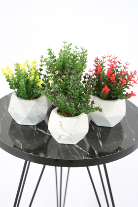 Beton Saksıda Yapay Bitki 4lü Set Model 2 - 1