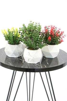 Beton Saksıda Yapay Bitki 4lü Set Model 2 - 2