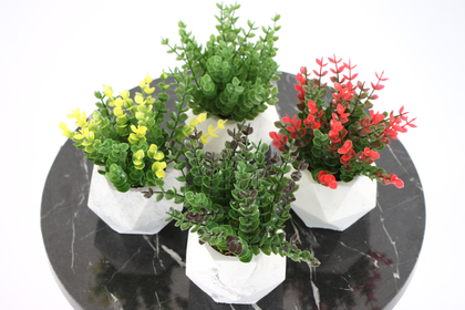 Beton Saksıda Yapay Bitki 4lü Set Model 2 - 3