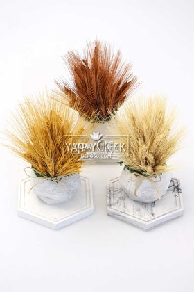 Tepsili Beton Saksıda Kuru Başak Tanzimi 3lü (Set-7) - 1