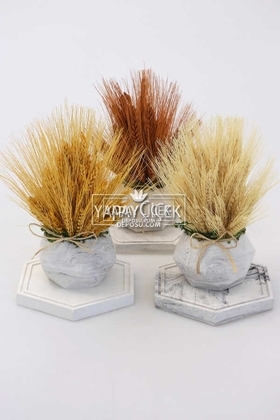 Tepsili Beton Saksıda Kuru Başak Tanzimi 3lü (Set-7) - 2
