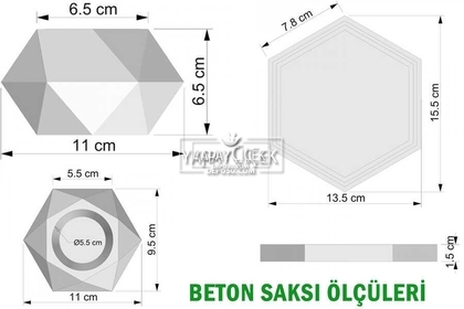Tepsili Beton Saksıda Kuru Başak Tanzimi 3lü (Set-7) - 4
