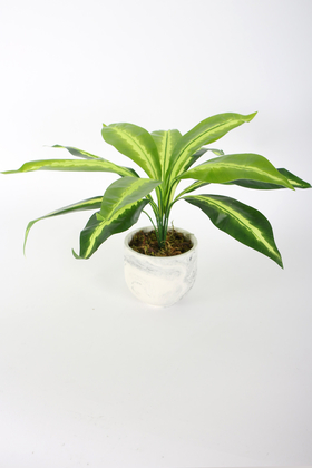 Beton Saksıda Uzun Yapraklı Yapay Bitki 42 cm Model-12 - 1