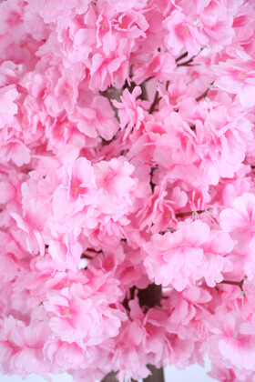 Saksıda Yapay Bahar Dalı Ağacı 105 cm Pembe - 2